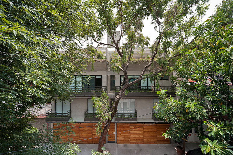 Yautepec 82